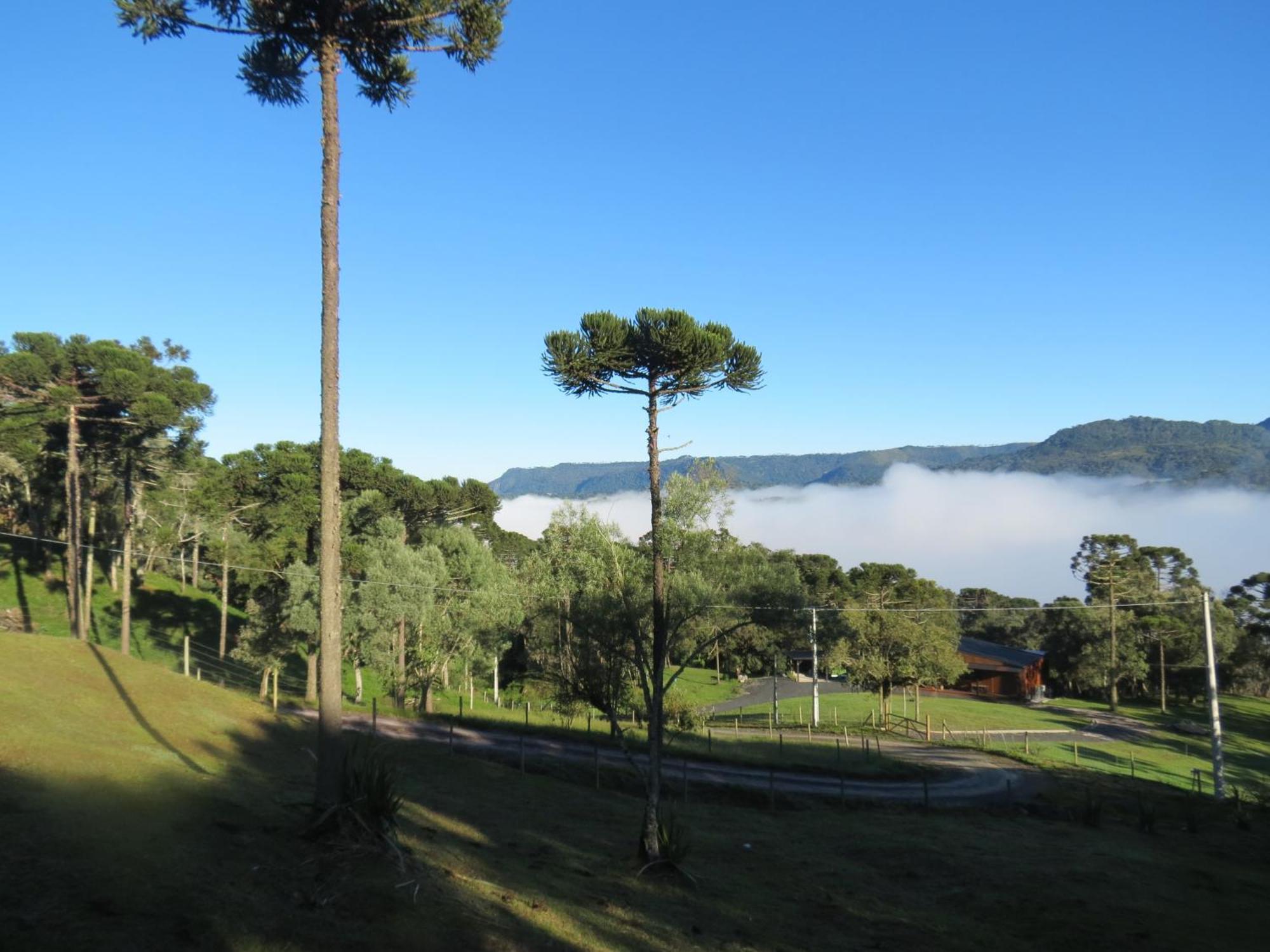 Refugio Da Montanha Villa Urubici Luaran gambar