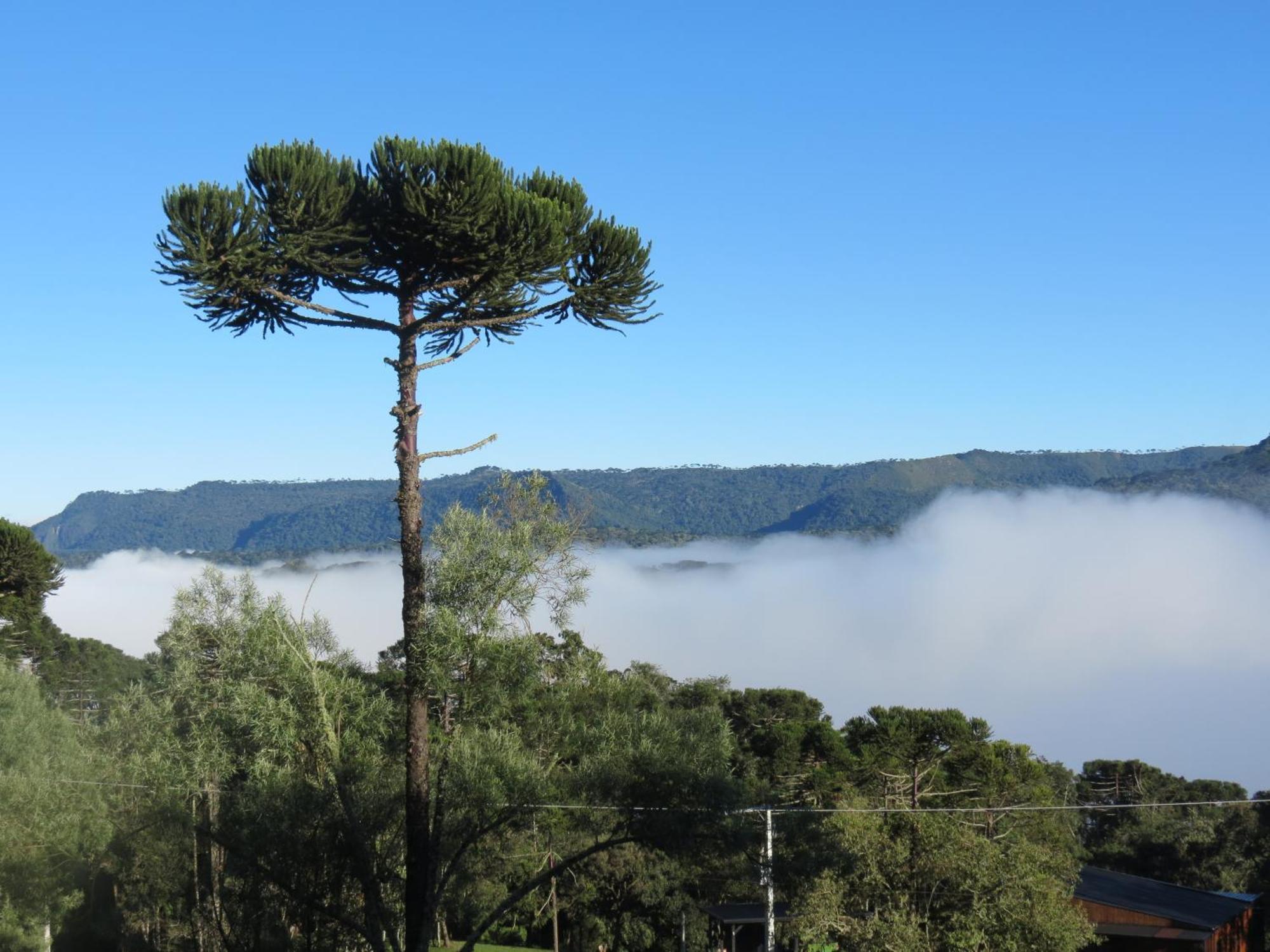 Refugio Da Montanha Villa Urubici Luaran gambar